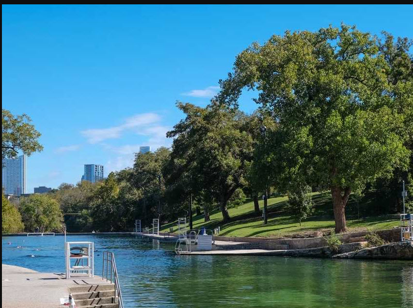 Barton Springs Pool area bat habitat