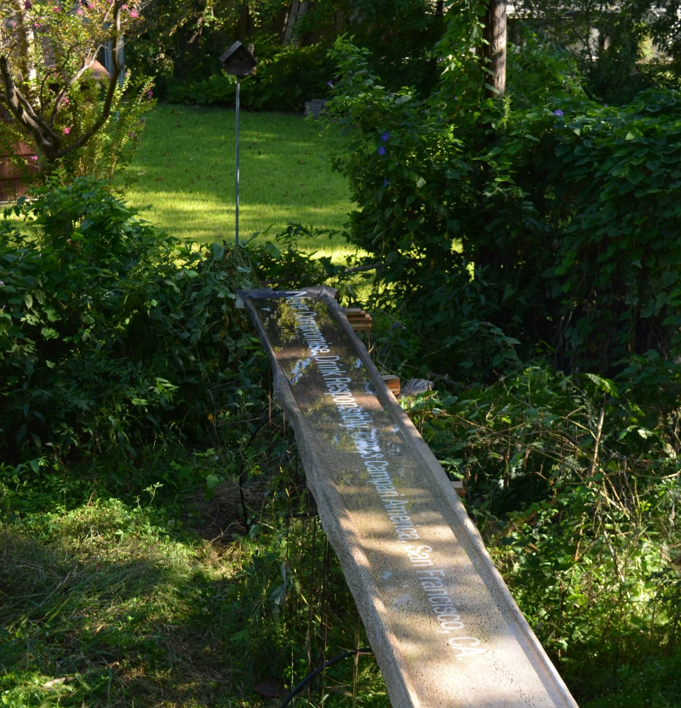 Frog Logs save bats too - pool escape ramp