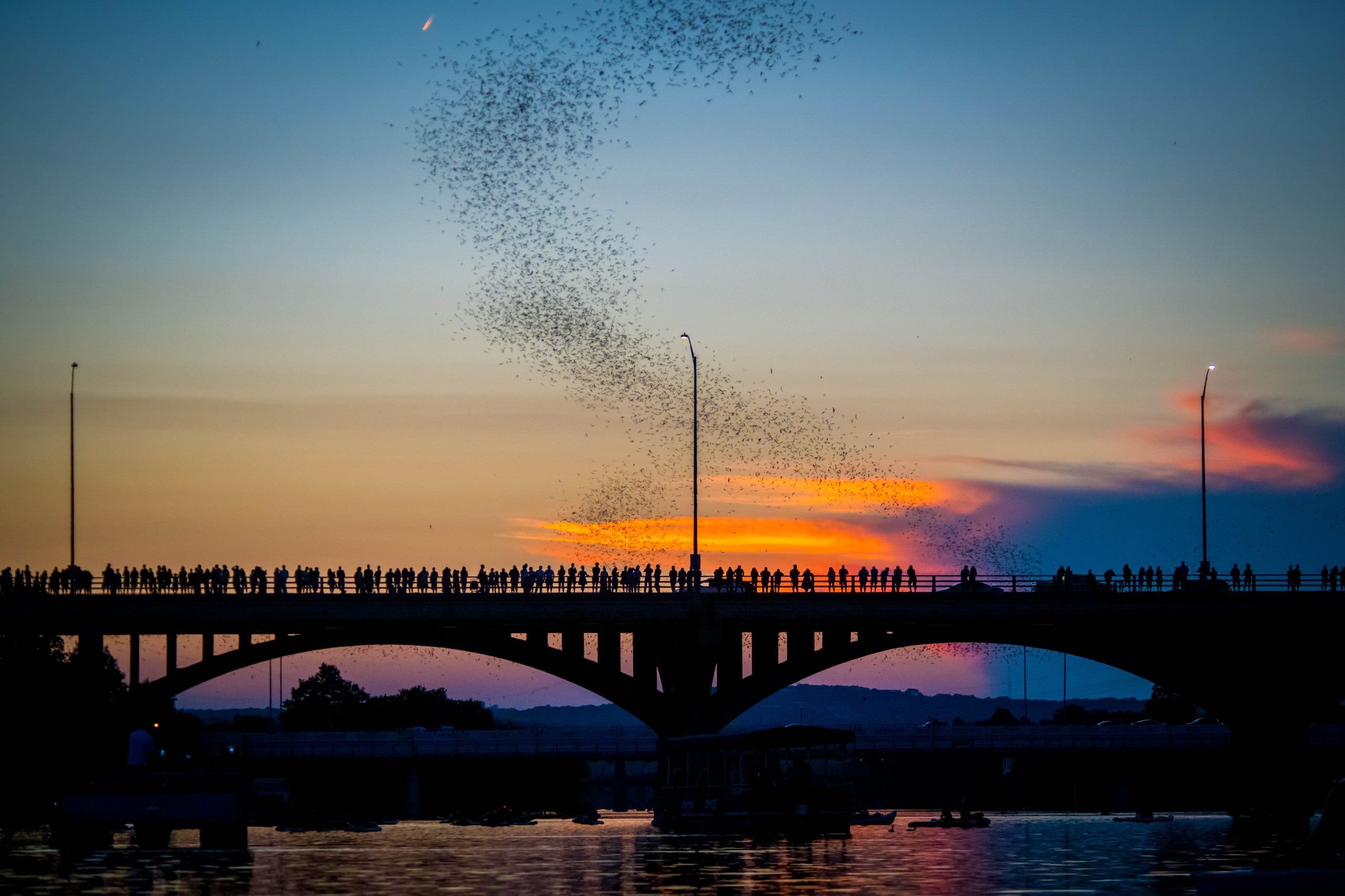 Congress Avenue Bridge