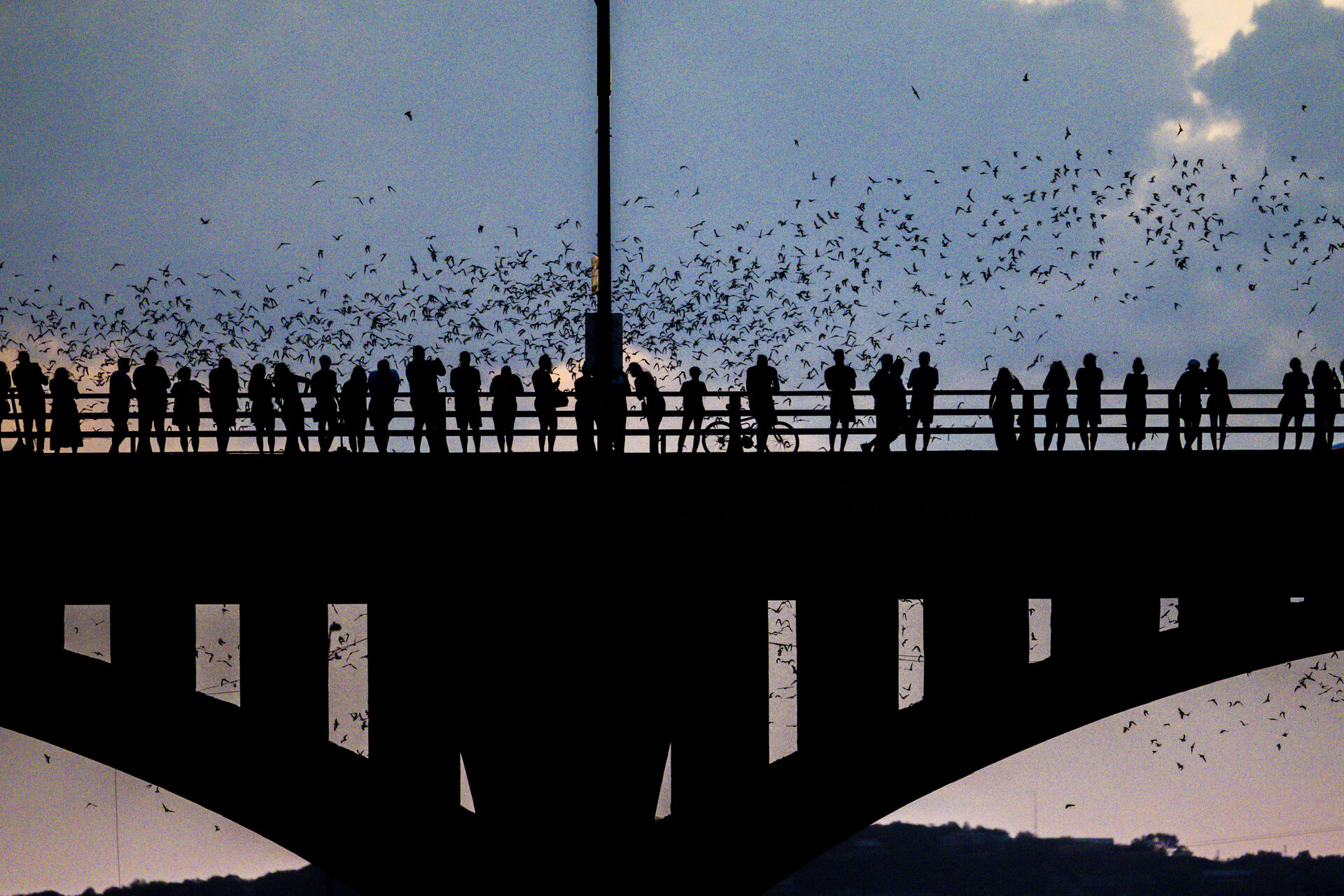 Spectators lining Congress Avenue Bridge as bats stream out from the arches below