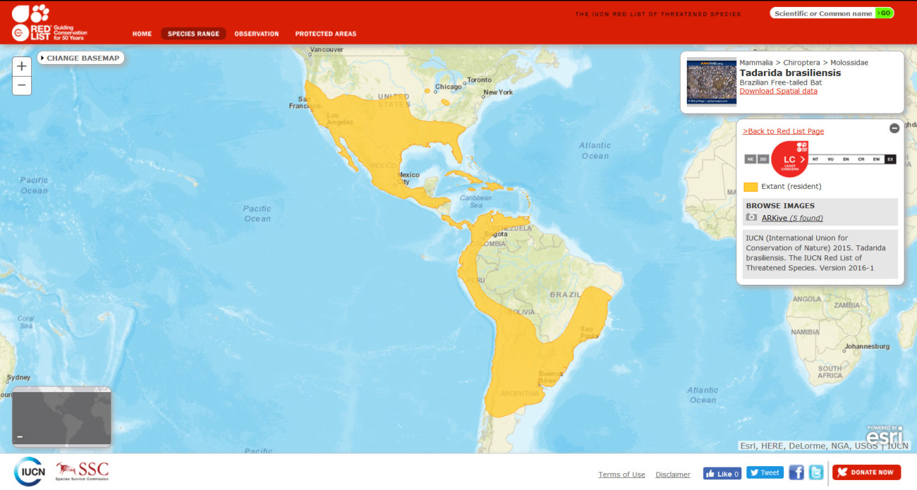 IUCN Range Map Tabr