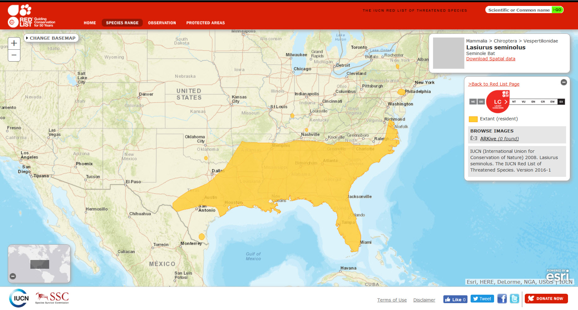 IUCN Red List Range Map Lasiurus seminolus