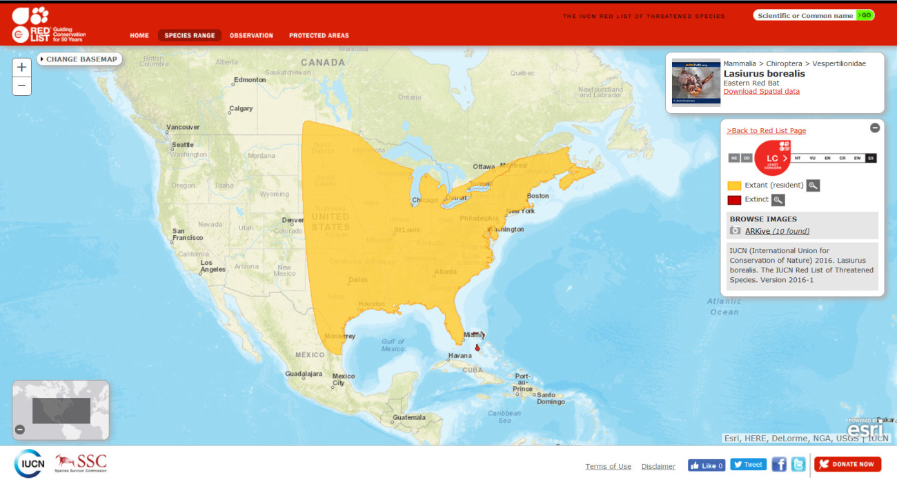 IUCN Red List range map Lasiurus borealis