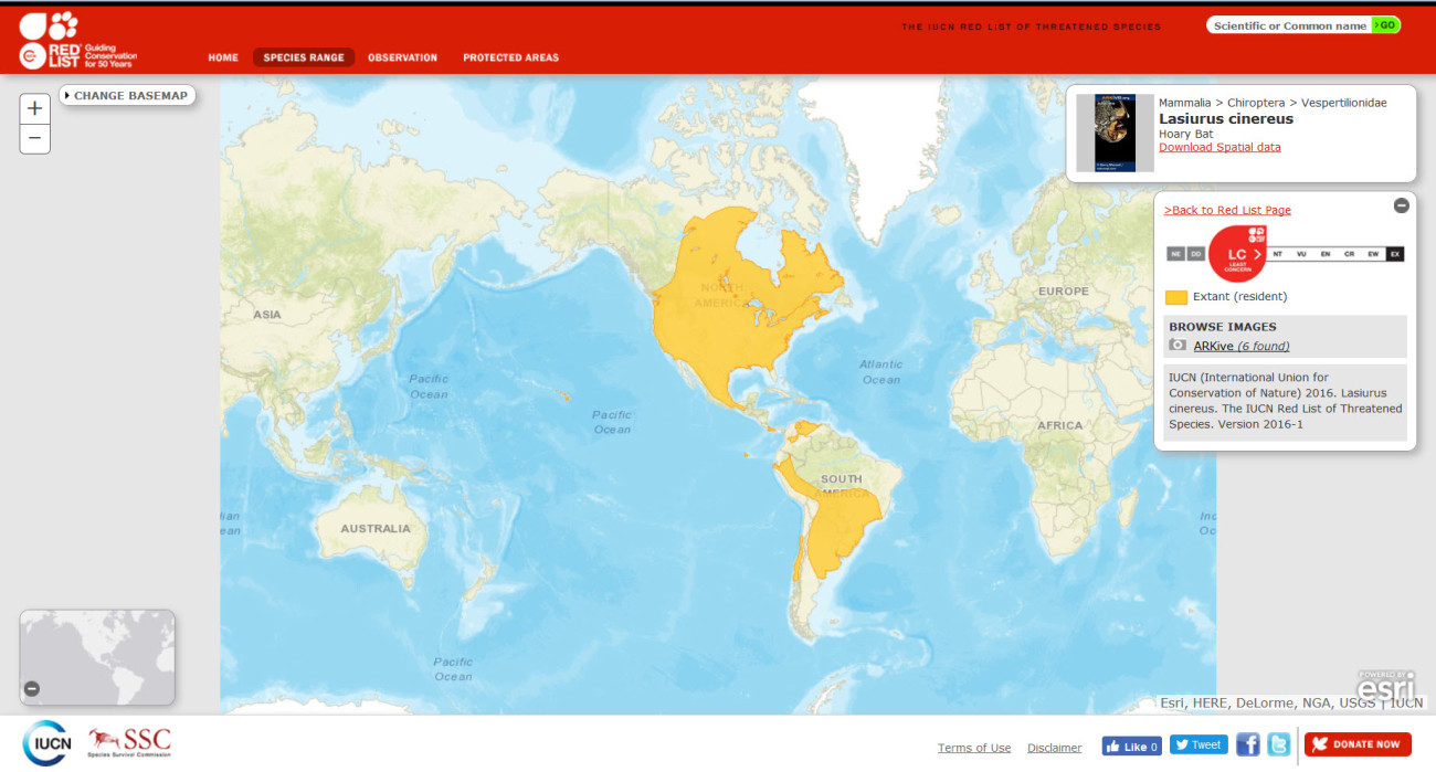 IUCN Red List range map for Lasiurus cinereus