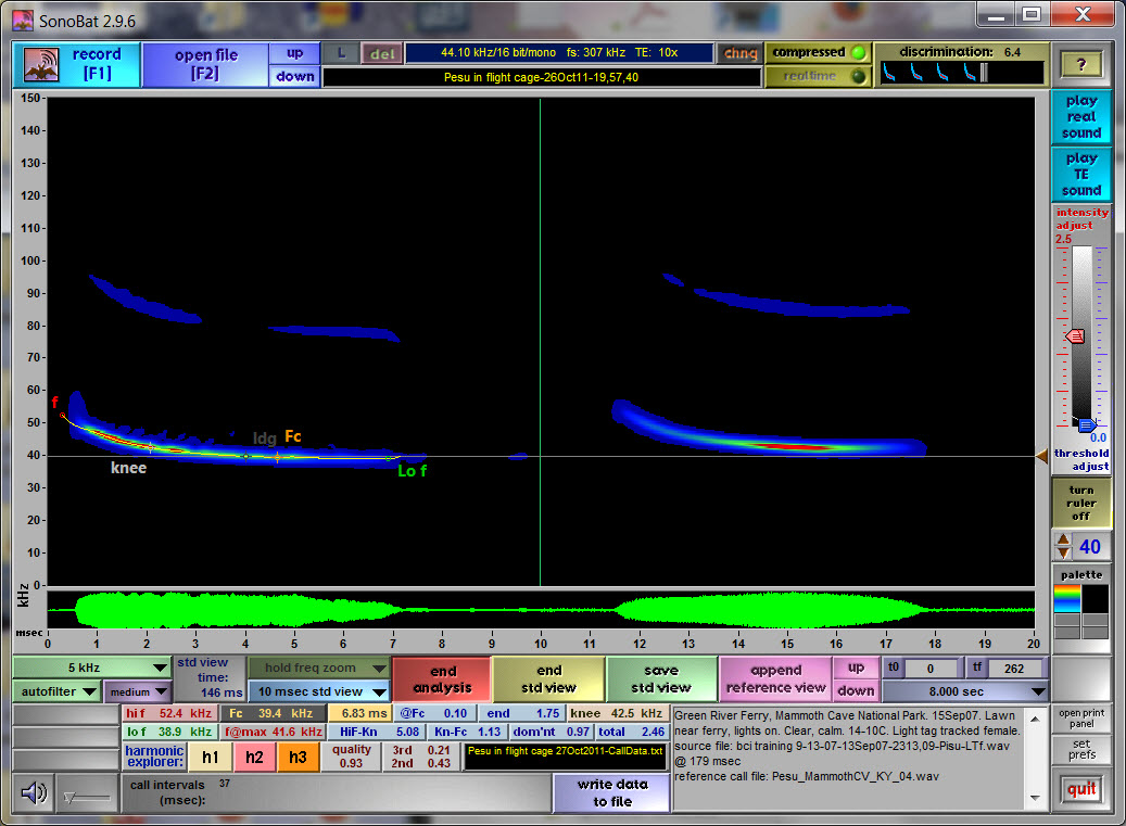 Tri-colored bat sonogram & reference call