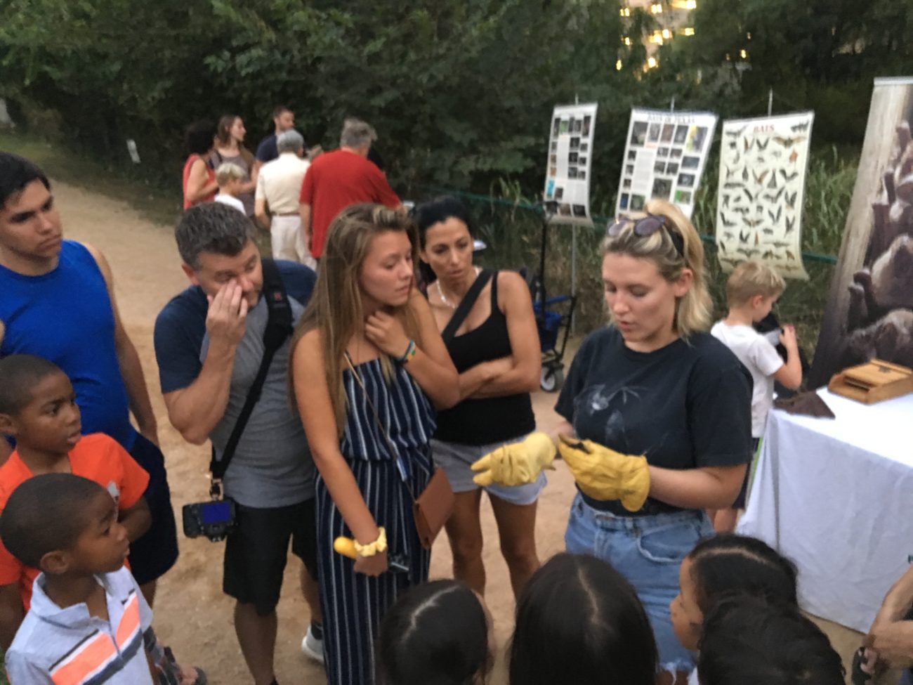 Austin bat presentations talks outreach education Congress Avenue Bridge