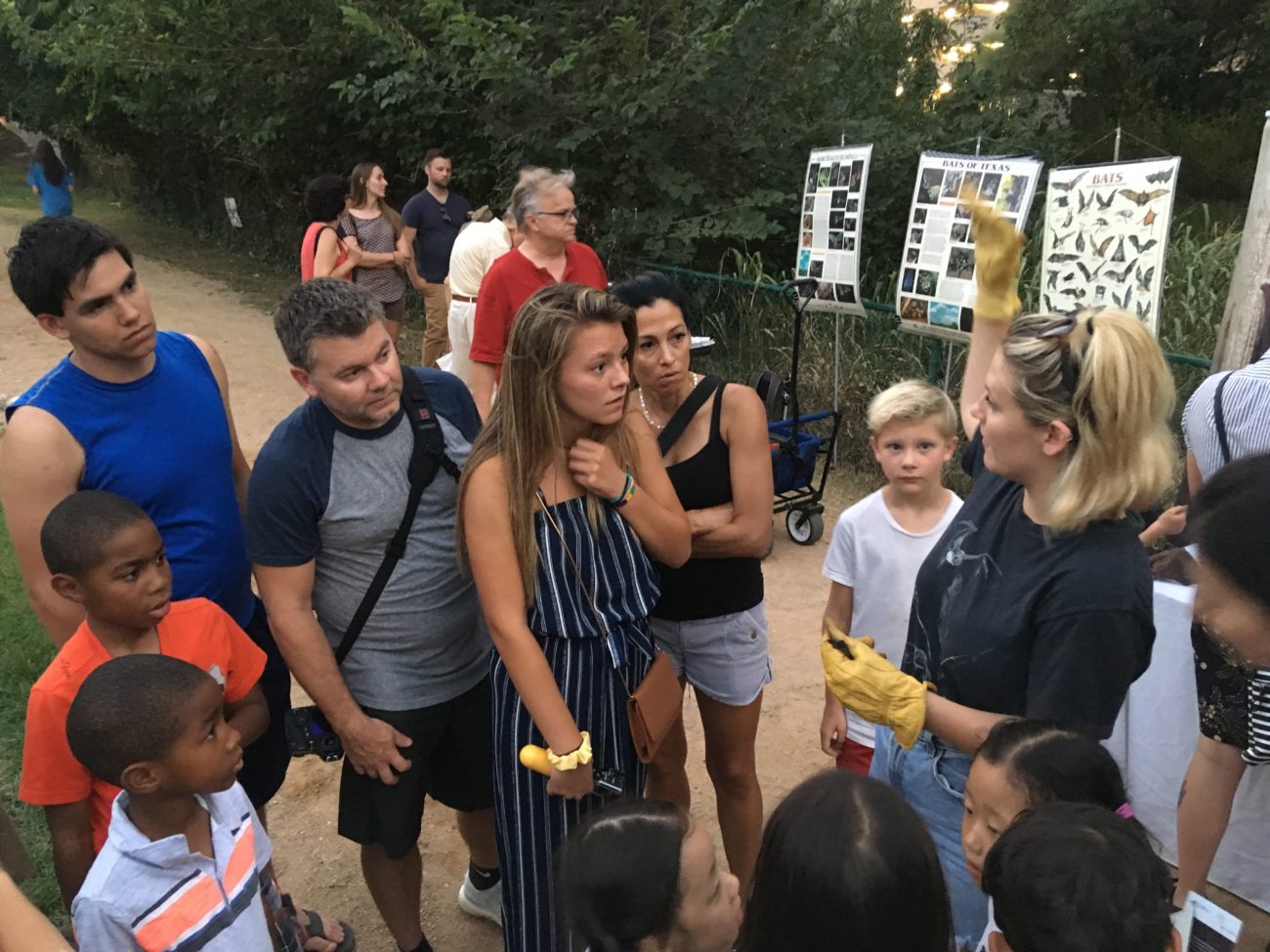 Austin bat presentations education outreach talks Congress Avenue Bridge