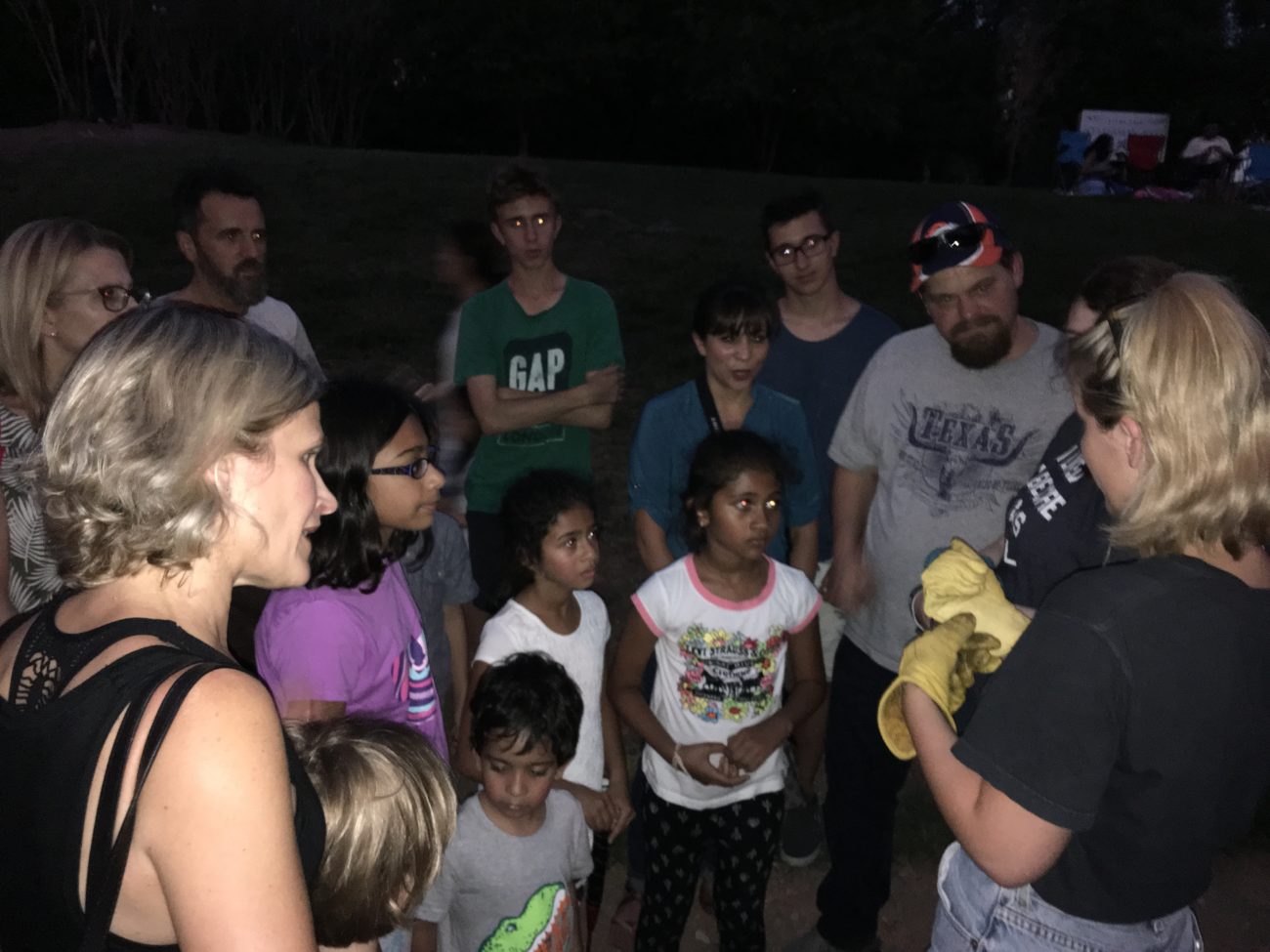 Austin bat presentations education outreach talks Congress Avenue Bridge