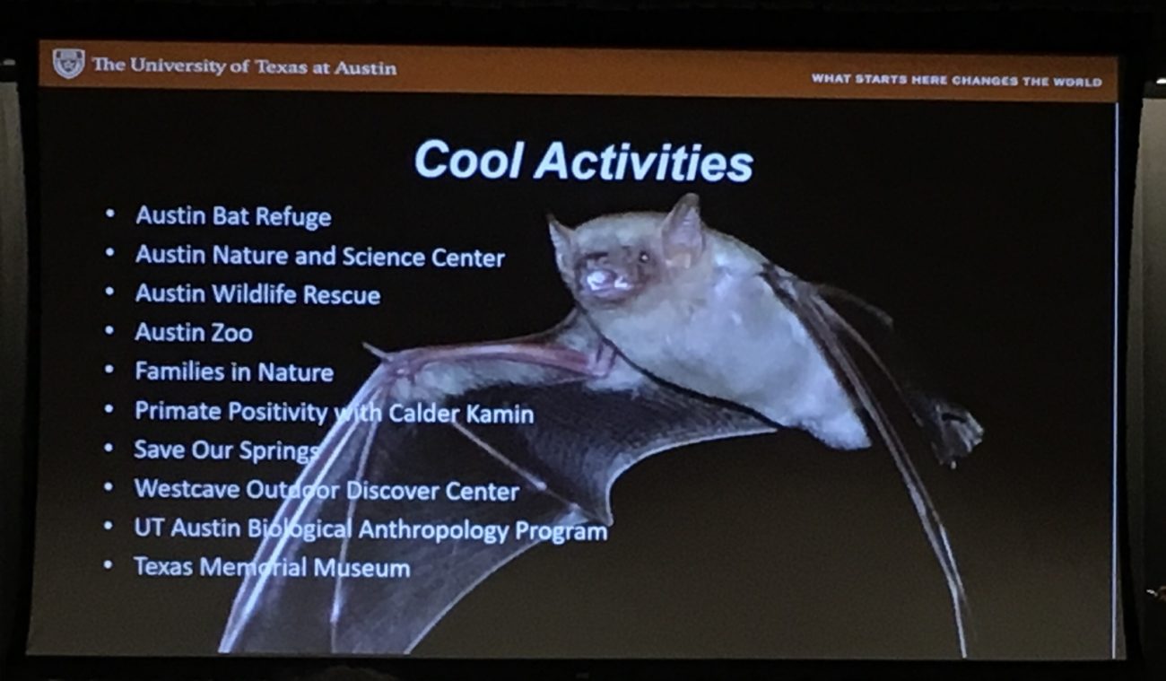 austin bat presentations tabling talks outreach education programs