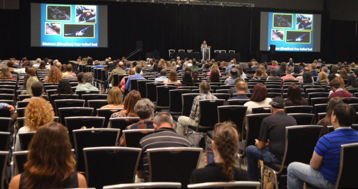 Austin bat presentations. talks, programs, education, outreach