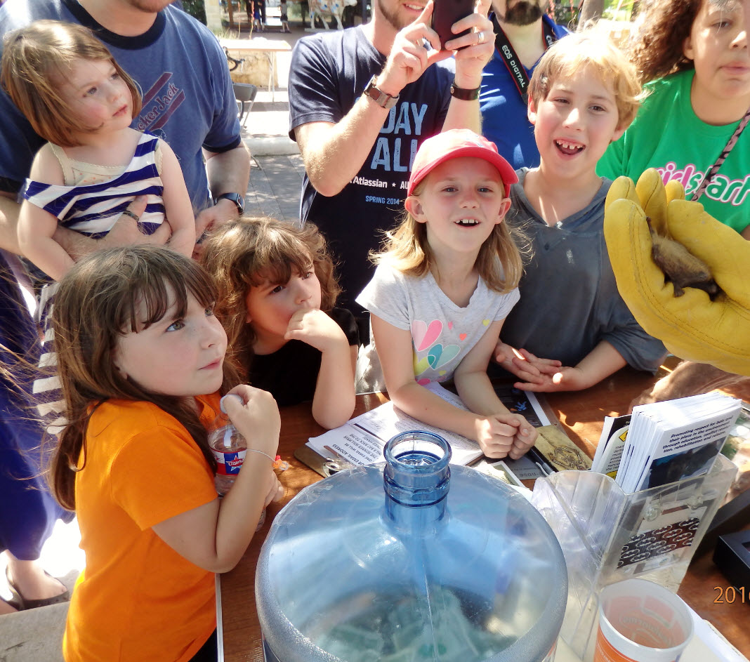 kids adoring bat